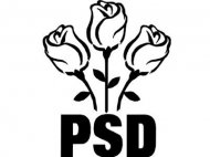 Mai multe filiale ale PSD vor solicita congres extraordinar in februarie