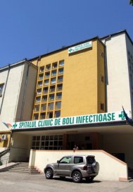 Gripa porcina a luat o pauza