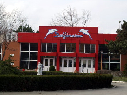 delfinariu.jpg