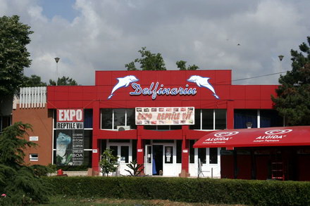 delfinariu_04.jpg