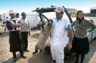 Vapoare pline cu animale au plecat din Portul Constanţa Carnea de miel românească, apreciată în ţările arabe 