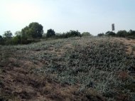 Bani europeni pentru conservarea Dunelor Marine de la Agigea