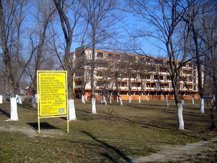 mamaia_five_holding_5.jpg