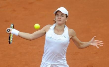 dulgheru.jpg