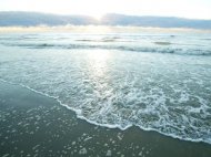 Marea Neagra, inchiriata cu cinci dolari pe km patrat