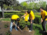 S-a incheiat cea de-a IV-a editie a Saptamanii Voluntariatului