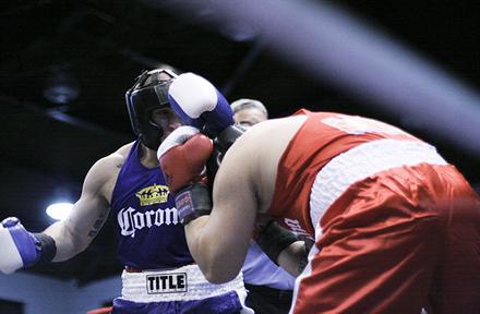 box12.jpg