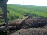 MAI Buletin informativ – 16.05.2010