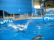 Informatii de presa - Consiliul Judetean Constanta