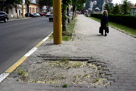 fotoreportaj iata cum arata trotuarele constantei 45914 284762