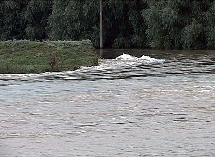 Garliciu-11.jpg