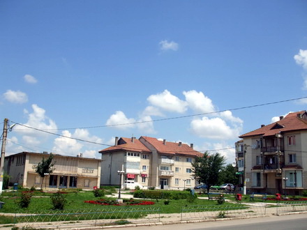 cinci mandate nu i au fost de ajuns lui ion nicolin sa impiedice paragina urbei negru voda orasul cu