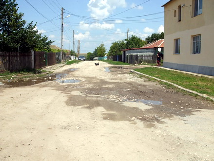 cinci mandate nu i au fost de ajuns lui ion nicolin sa impiedice paragina urbei negru voda orasul cu