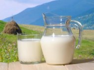 Sprijin financiar pentru producatorii de lapte