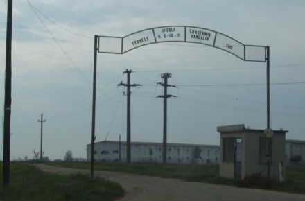 avicola_mangalia_03.jpg avicola_mangalia_03.jpg