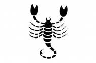 Scorpion (23.10 - 21.11)