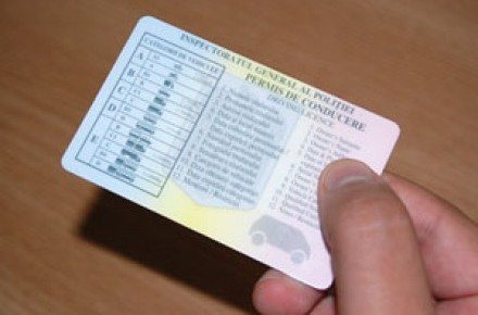 pitbull_-_permis_de_conducere___.jpg pitbull_-_permis_de_conducere___.jpg