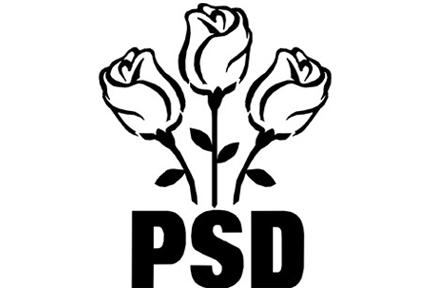 psd_des1.jpg