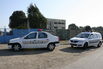save the dogs milano acuza eutanasieri dupa ureche in biobaza din constanta video galerie foto 81680