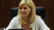 Udrea Nu am spus că a fost vorba de fraudă la vot