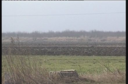 agricultura_2011.jpg agricultura_2011.jpg