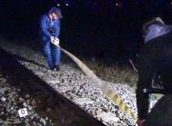 Spulberat de tren (video)