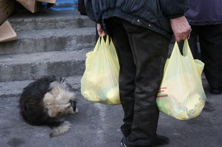 fotoreportaj cum sunt batjocoriti pensionarii la impartirea pachetelor 96063 304528