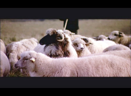 agricultura_2.jpg