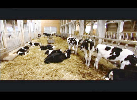 agricultura_3.jpg