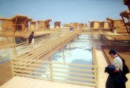 Construcţia satului pescăresc pe balta Tuzla începe până la sfârşitul anului 