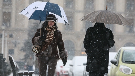 ninge_82775500.jpg