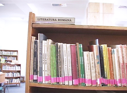 bibliotecarei_in_colaps_2.jpg