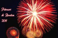 Petreceri de Revelion 2011