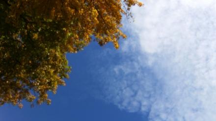 autumn_sky_83263100.jpg