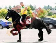 Cancan Nutu Camataru l-a pus la respect pe Maharu