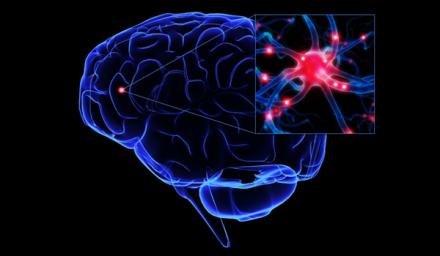 creier-incins-inside.jpg