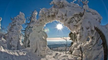 soare_de_iarna_40338000.jpg
