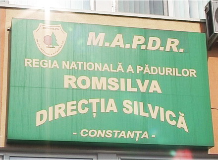 proiect_directia_silvica_1.jpg proiect_directia_silvica_1.jpg