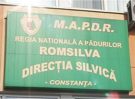 proiect_directia_silvica_1.jpg