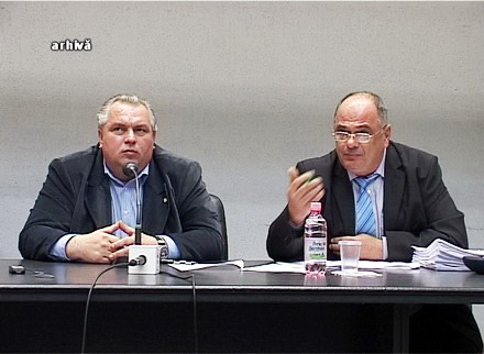 declaratii_vrabie_3.jpg