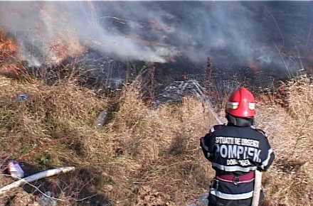 INCENDIU_PLAJA_1.jpg INCENDIU_PLAJA_1.jpg