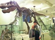 ClickAflă motivul pentru care Anda Adam nu se mărită cu Victor Slav!