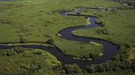 WWF pregăteşte Delta Dunării pentru schimbările climatice