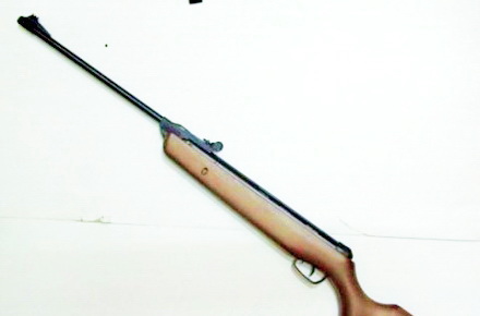 pentru_material_Faur_-_arma_de_vanatoare___.jpg pentru_material_Faur_-_arma_de_vanatoare___.jpg