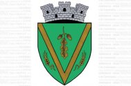 Oraşul Negru Vodă are propria stemă 