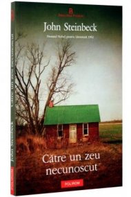 Catre un zeu necunoscut