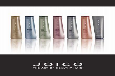 joico2006front_26865801_std.jpg