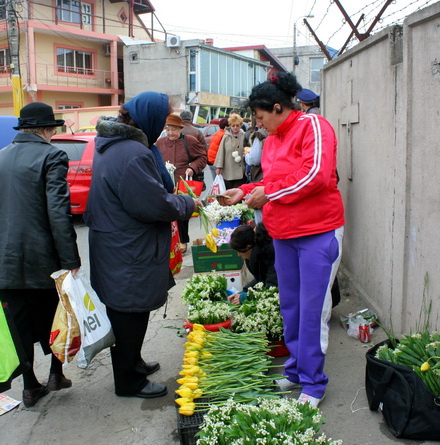 fotoreportaj la cimitir de pastele blajinilor 77577 324061