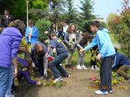 CNMB Constanţa - Saptamana voluntariatului 