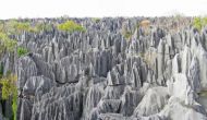 Tsingy de Bemaraha – Pădurea de piatră a lemurienilor